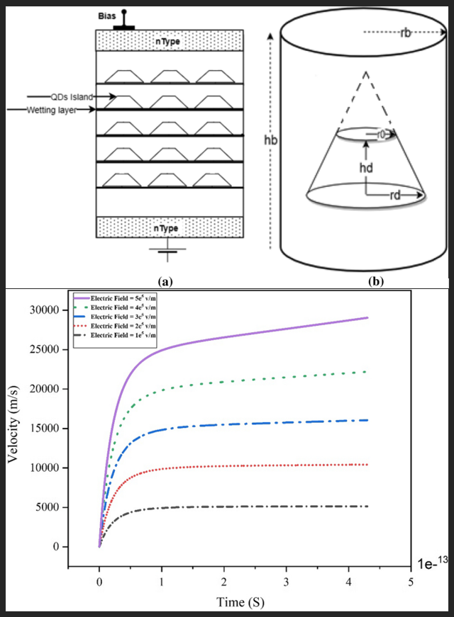 Plant stem tissue modeling and parameter identification using